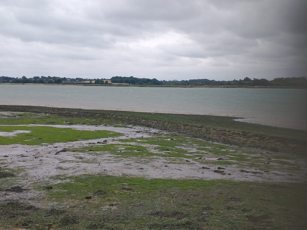The River Orwell from Trimley Marshes