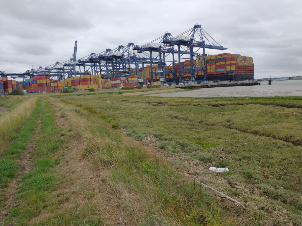 Felixstow Docks From Coastal Path