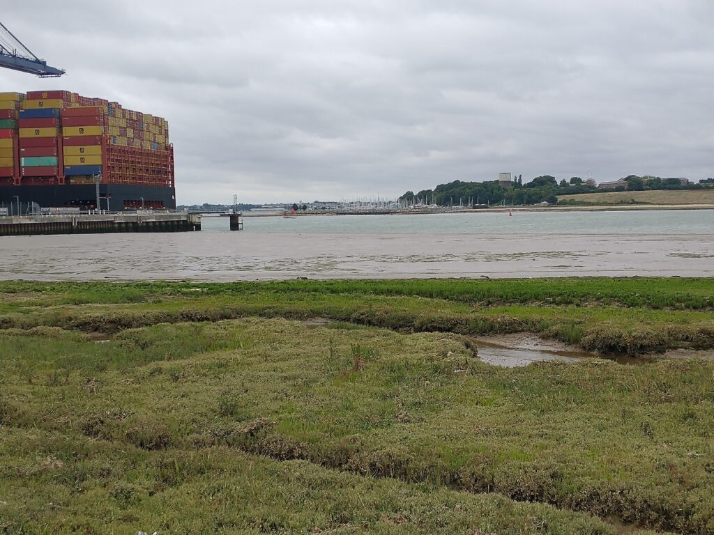 Across the Orewell from Felixtowe Docks with Shotley Marina in sight