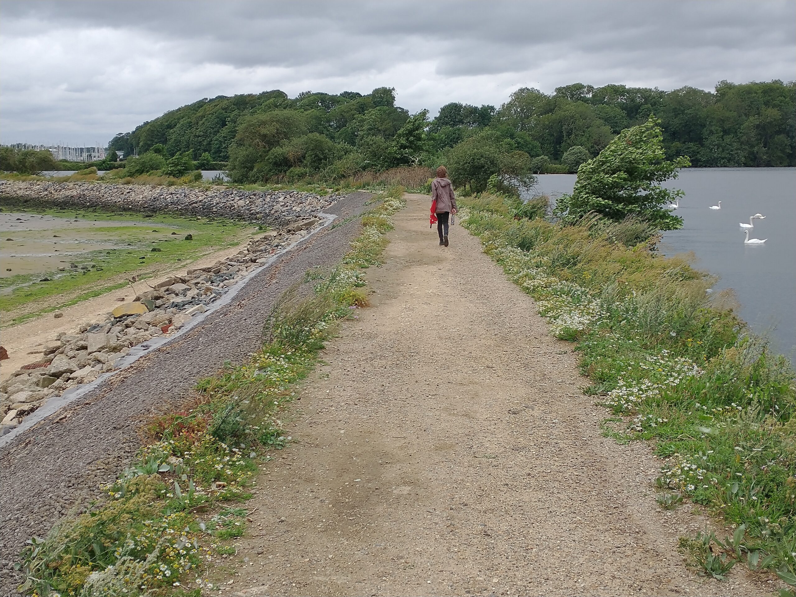 Along the coastal path between Levington and Felixtowe