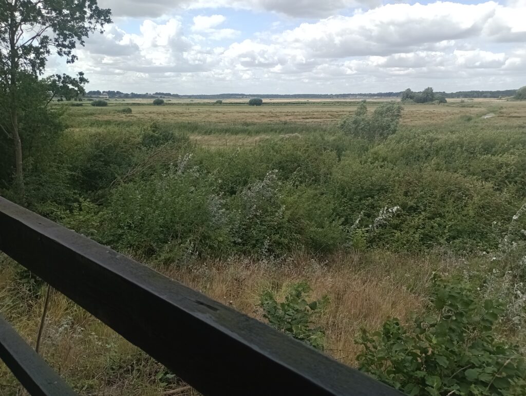 Hide looking over Trimley Marshes