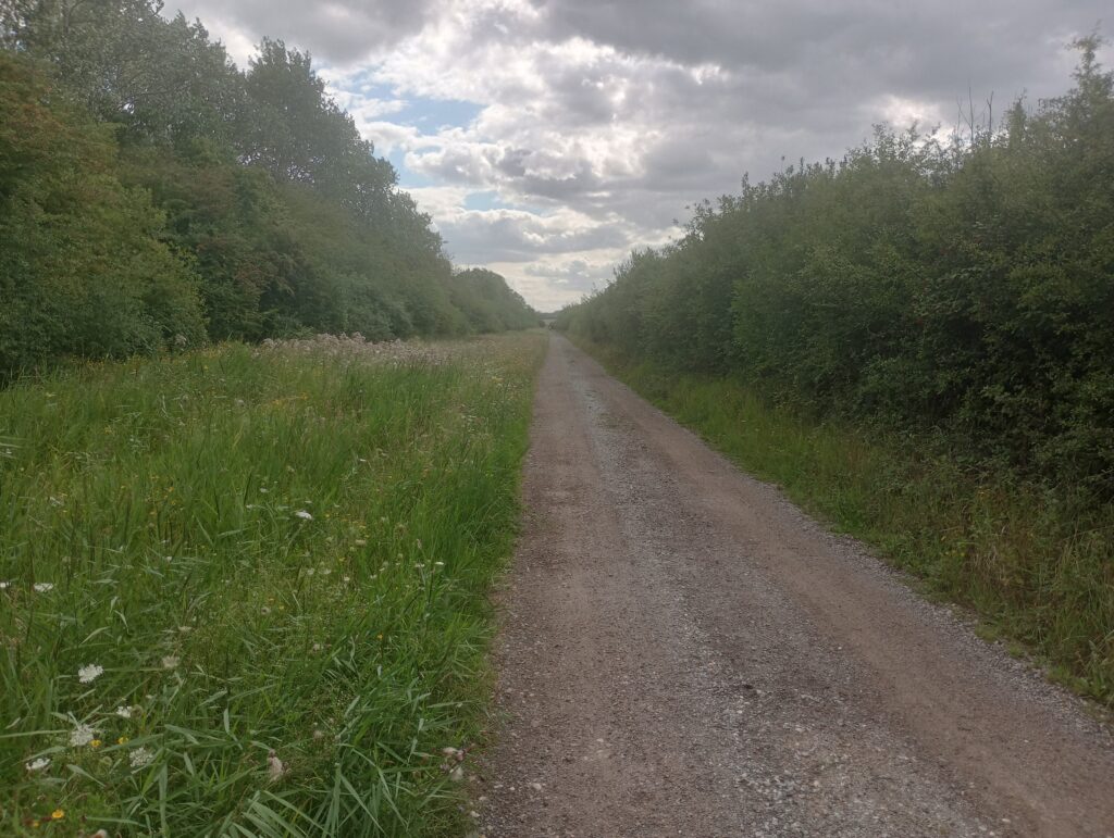 Coastal path goes around Felixatowe Docks